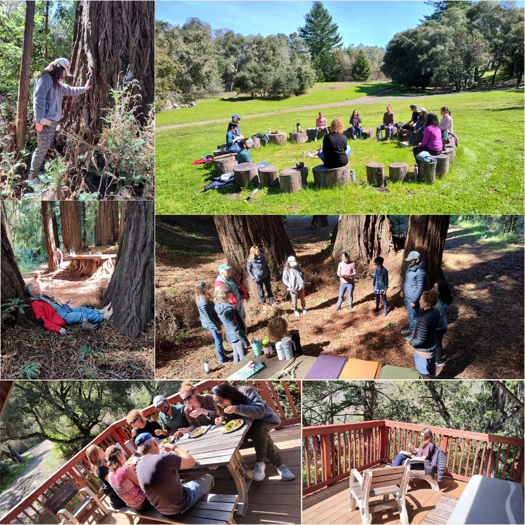 YHC retreat participants standing in a circle among large redwood trees at OVY Camp